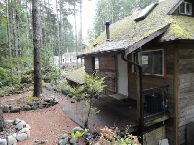 Country Bachelor Suite Image# 2