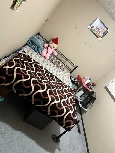 PRIVATE ROOM RENT FOR GIRL OR GIRLS . north side . NOVEMBER 1 Image# 1