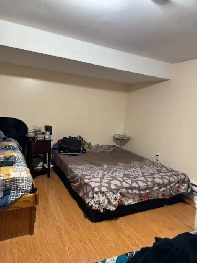 1 bed room Basement with separate entrance for Rent in Malton Image# 1