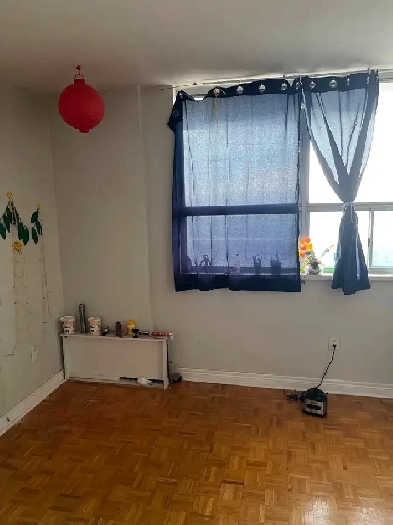 Male roommate needed in Downtown Toronto Image# 1