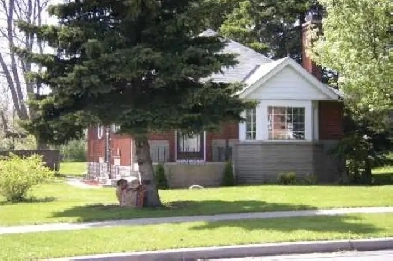 Sharing Room/Private Room Available in Scarborough Image# 1