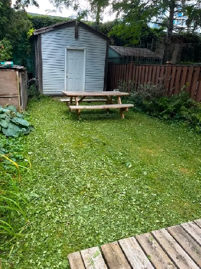 Annex Bright Big1 Bdrm   Garden Basement apart by DuPont sbwy Image# 1