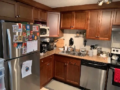 2 bedrooms 1 bath legal basement suite for rent - Nov 1 Image# 10