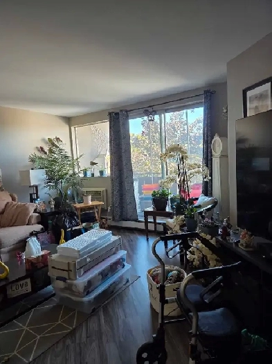 Room for rent in 2 bedroom apartment.   In Chatham. Image# 1