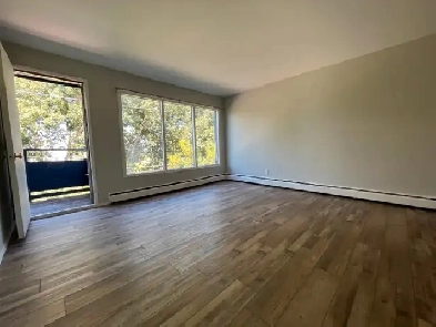 Spacious Newly Renovated 2 Bedroom Unit Near Downtown Image# 1