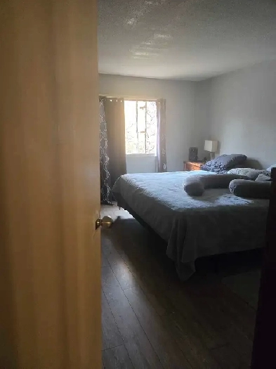 Room for Rent Image# 1