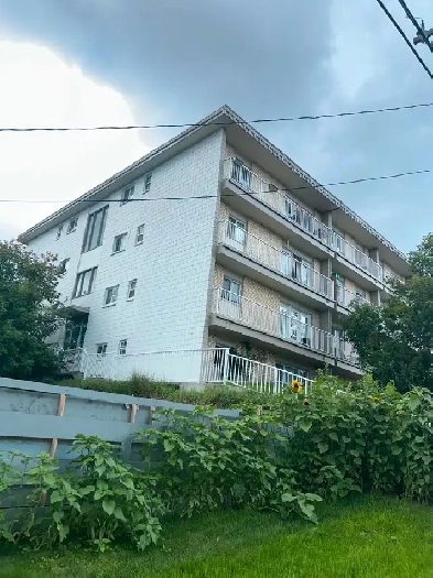 Calgary downtown Bankview  2 bedroom apartment $1650  only Image# 1