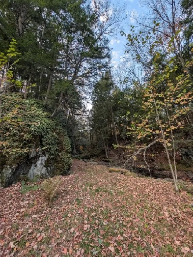 Loft de charme en pleine nature – Saint-Étienne-de-Bolton Image# 1