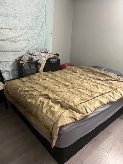 Room for Rent Image# 1