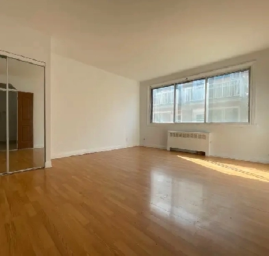 3 1/2 une grande chambre vacant metro plamondon inclut chauffage Image# 1