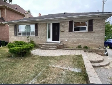 Yonge/Finch - Bachelor Basement Apartment - All Inclusive Image# 1