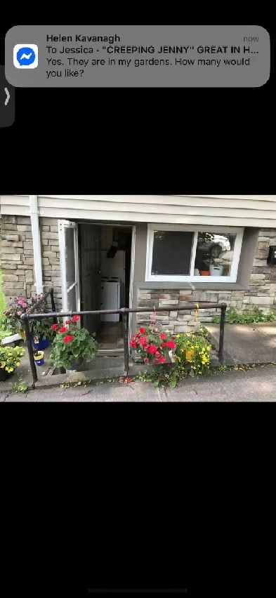 Beautiful South End HFX Furnished Apt Image# 4
