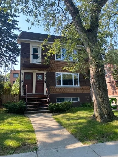 upper duplex 5 1/2 ndg monkland village for rent December 1 Image# 1