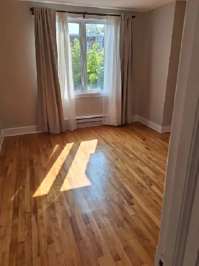 Parc extension 5 1/2 with 3 rooms very well situated Image# 1