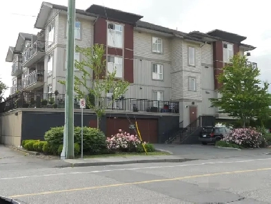 DELUXE 1 BEDROOM WITH DEN, AND 2 BEDROOMS FOR RENT Image# 1