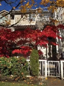 Beautiful Fully Furnished Room for Rent (Available NOW) Image# 3