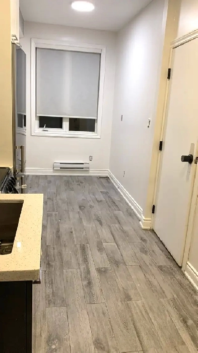 One Bedroom Apartment Downtown Toronto - Parking Included Image# 1