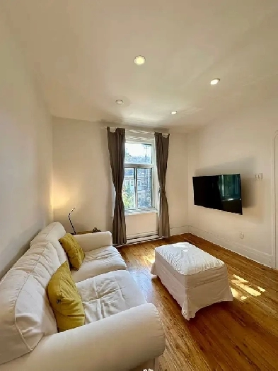 Brand new completely renovated Amazing 4 ½ - Verdun Image# 1