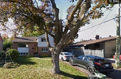 Nepean/Maitland - Large Renovated One Bed Apartment for Rent Image# 1