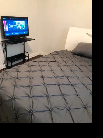 Specious and Furnished main floor Room in Scarborough for Rent Image# 1