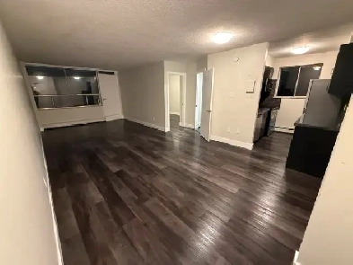 Renovated 1 Bedroom Apartment Hamilton Image# 1