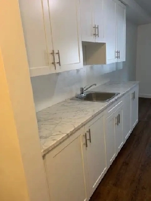 Renovated bright 2 bedroom apartment in quiet building Image# 1