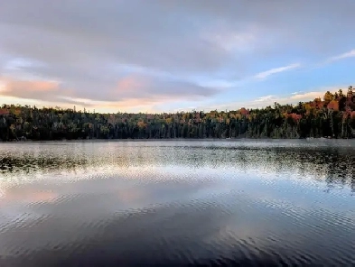 Terrain d’exception de 1,5 acre Ste-Marguerite-du-lac-Masson Image# 4