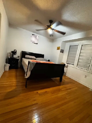 Room for Rent in Brampton Image# 1
