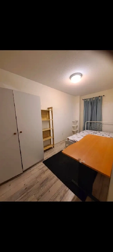 Room at York U campus. Minutes Walk Finch west subway. Image# 1