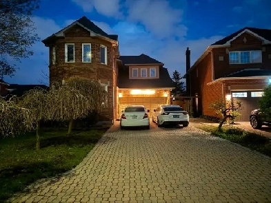 Room for Female in Heart of Mississauga Image# 1