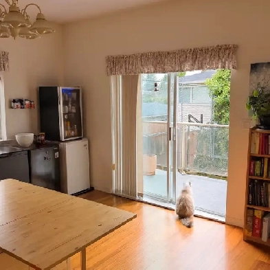 Room for Rent – Spacious 4200 sq ft Home Image# 4