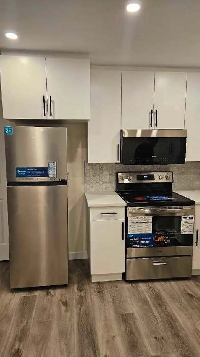 Brand new basement in Bridlewood for rent Image# 1