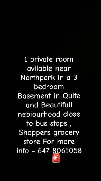 private room avilable in 3 bed basement Image# 1