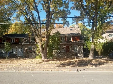 Apartement a louer au bord de l'eau Image# 1