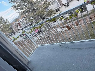 Cranbrook Two Bedroom Apartment For Rent Image# 1