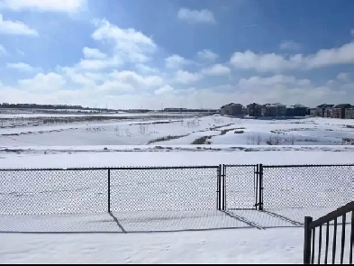 Modern 2 Bed Basement | Separate Entrance | Pond View Image# 1