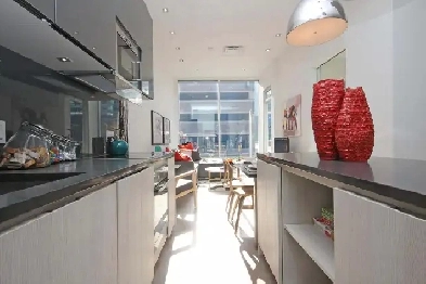 Downtown Luxury Condo for Rent for November OR December 1st Image# 1