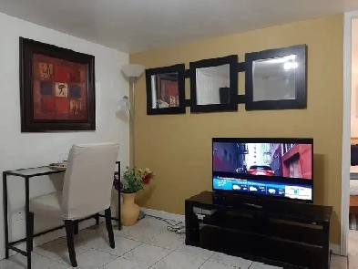 FURNISHED ONE BEDROOM BASEMENT AT YONGE AND STEELS Image# 1