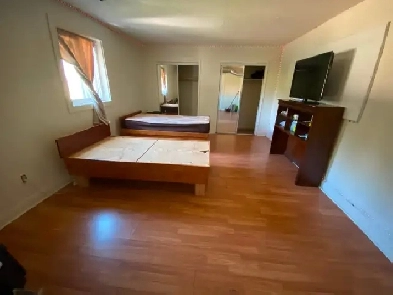 Room for rent in Brampton (Couples or girls only) Image# 1