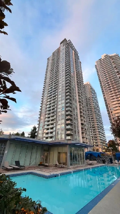 Surrey (Downtown) 1 Bedroom Condo For Rent | Park Avenue Image# 1