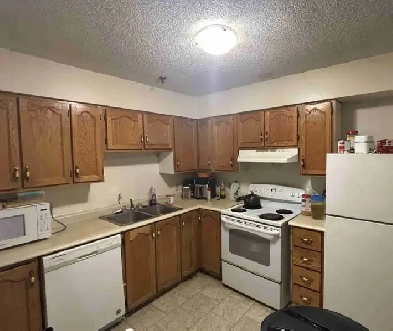 Master bedroom for rent Image# 1