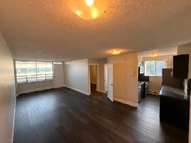 Updated 1 Bedroom 1 Bathroom Apartment Hamilton Image# 1