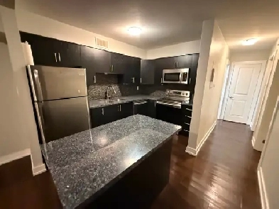 Large Updated 2 Bedroom with Walk-In Closet Downtown Hamilton Image# 1