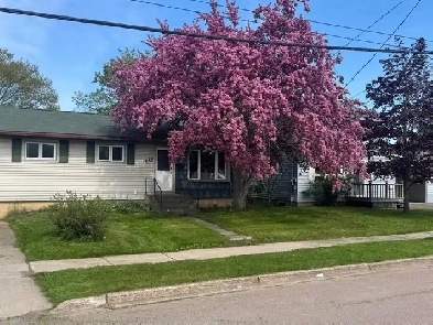 Room for rent into shared home Image# 1