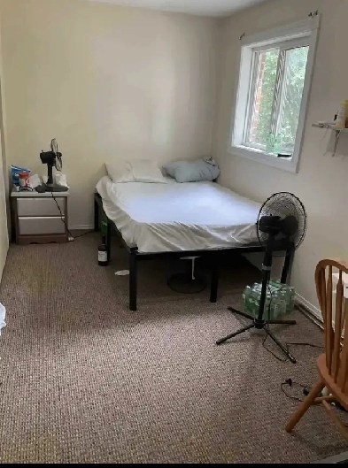 Large Bright Upstairs Room for Rent Image# 1