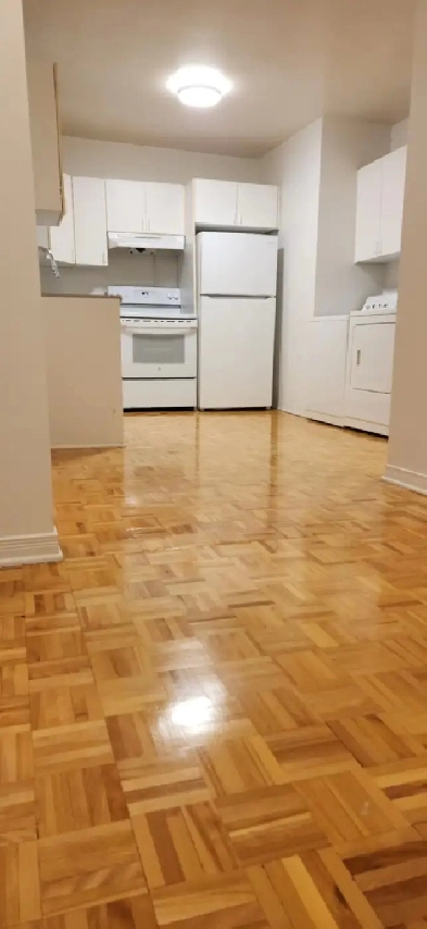 Logement semi-meublé 4 1/2 Plateau Mt-Royal rue Brébeuf Image# 1