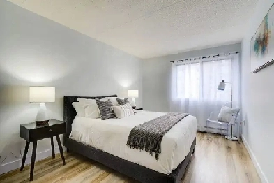 !! 3 MOIS GRATUIT !! GRAND 5 et demi Entièrement renové Image# 1