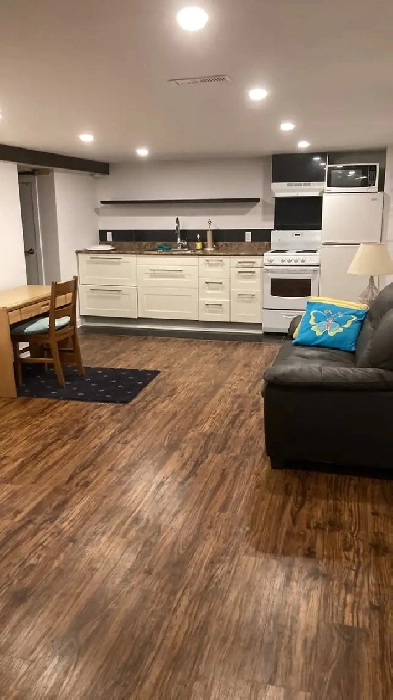 31/2 semi basement for rent from November 10 Image# 1