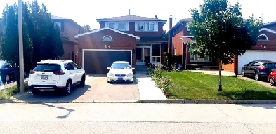 2 Bedrooms Basement Apartment in Woodbridge,  $2000 Image# 1