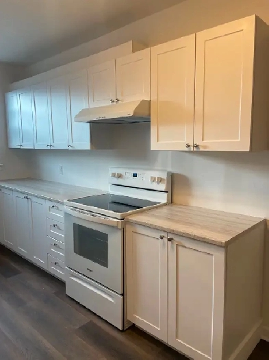 4 1/2 À LOUER, CÔTE-DES-NEIGES, UdeM, 1ER NOVEMBRE Image# 1